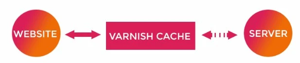 Varnish cache