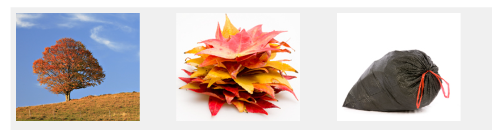 User Stories: Falling leaves?